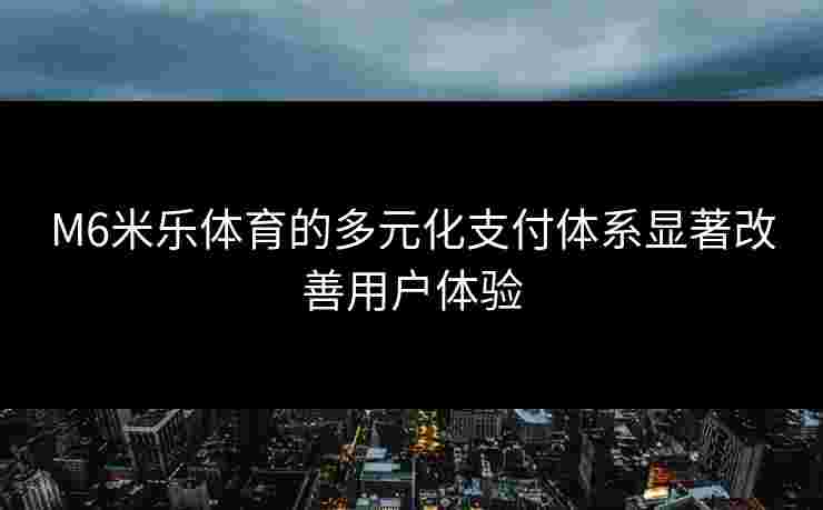 M6米乐体育的多元化支付体系显著改善用户体验