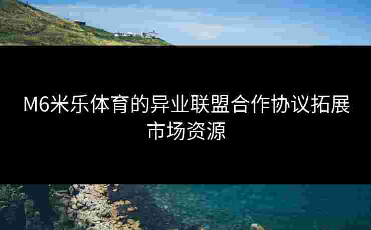 M6米乐体育的异业联盟合作协议拓展市场资源