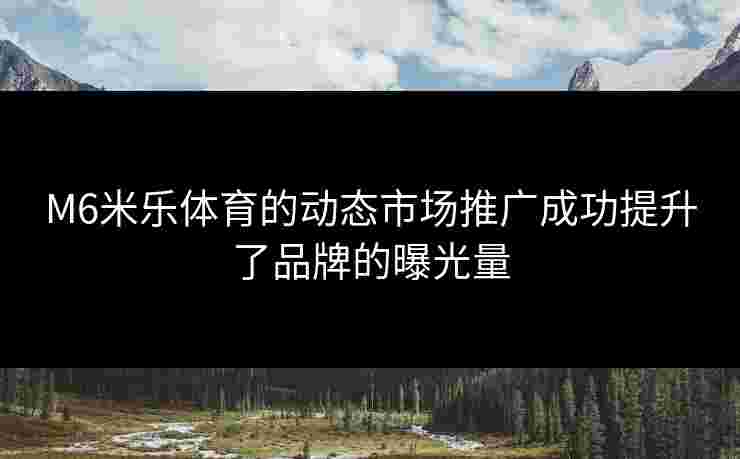 M6米乐体育的动态市场推广成功提升了品牌的曝光量