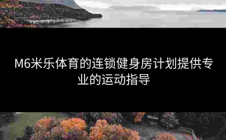 M6米乐体育的连锁健身房计划提供专业的运动指导
