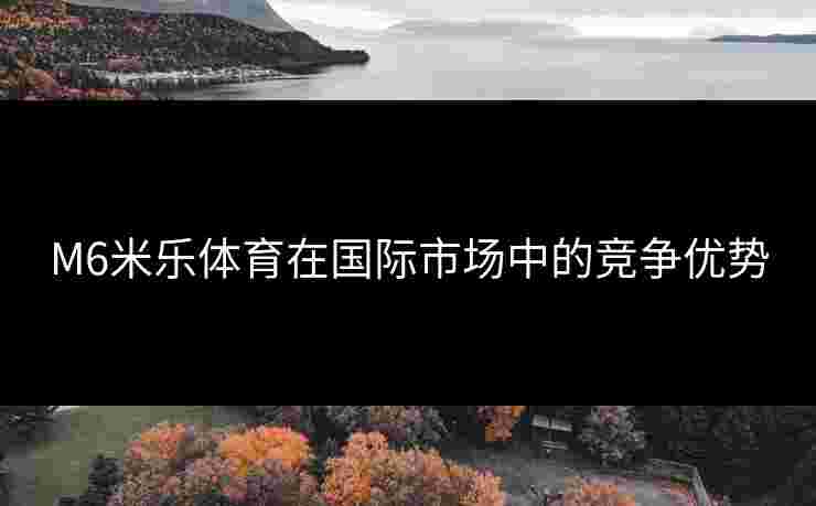 M6米乐体育在国际市场中的竞争优势